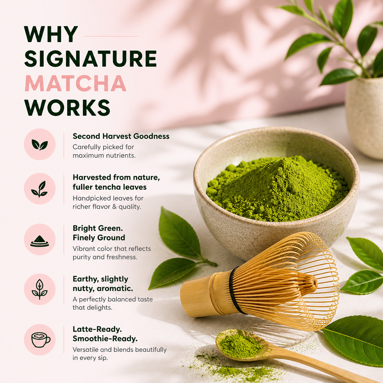Signature Matcha | Smooth & Balanced | 30g